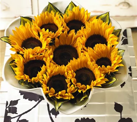 Der goldene Herbst wird bunt: die Top 8 der Herbstblumen