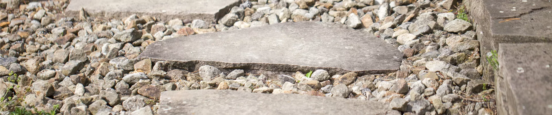 GS426143.jpg GS426143.jpg